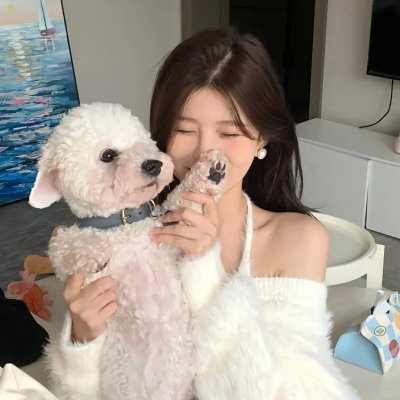 犬心犬意