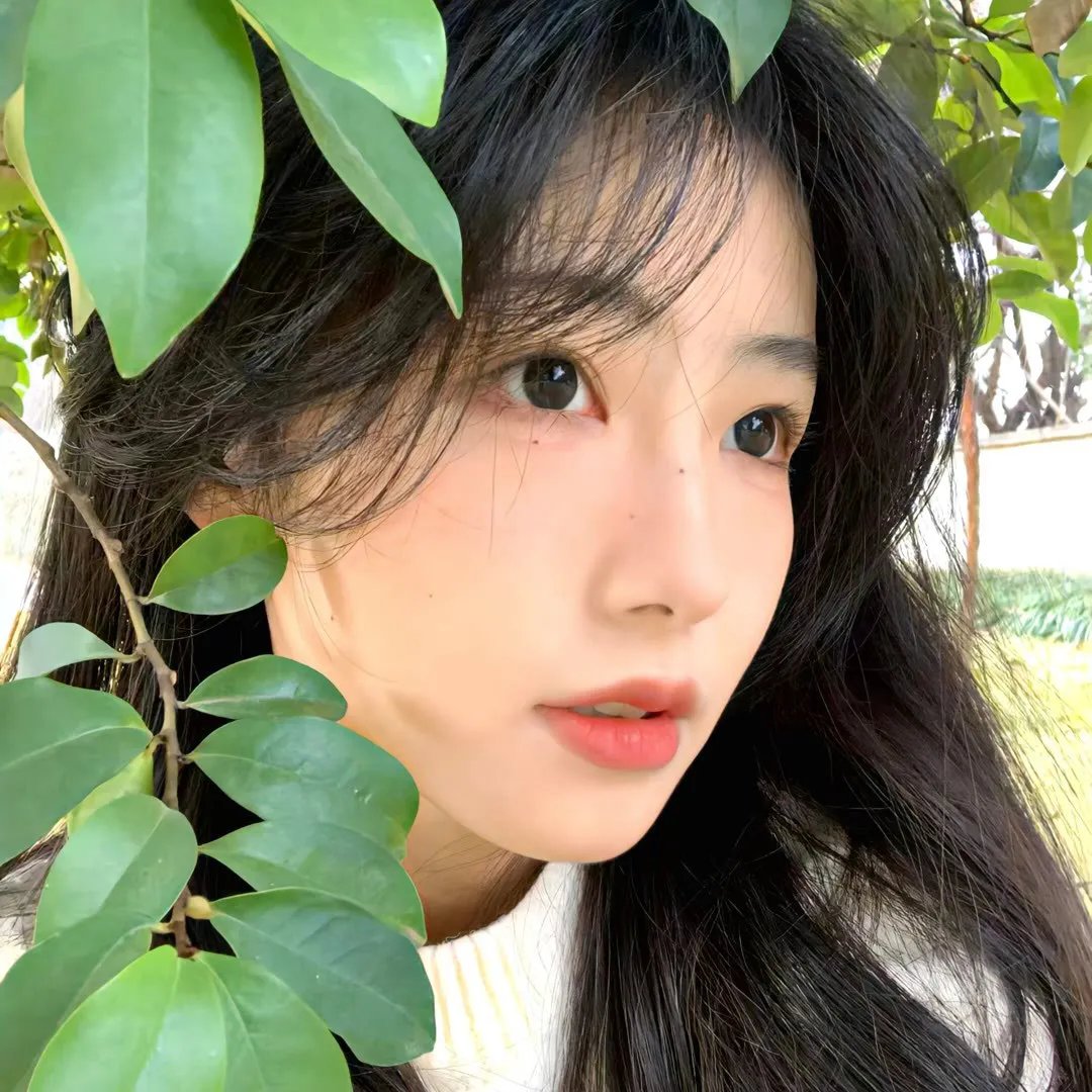 村里来了个直播女神